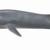 Collecta Blauwe Vinvis 88834
