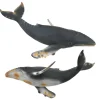 Collecta Bultrug Walvis 88347