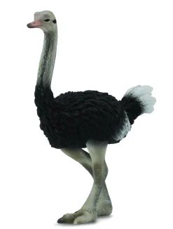 Collecta Struisvogel 88459