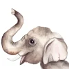 Fritsy Postkaart Olifant