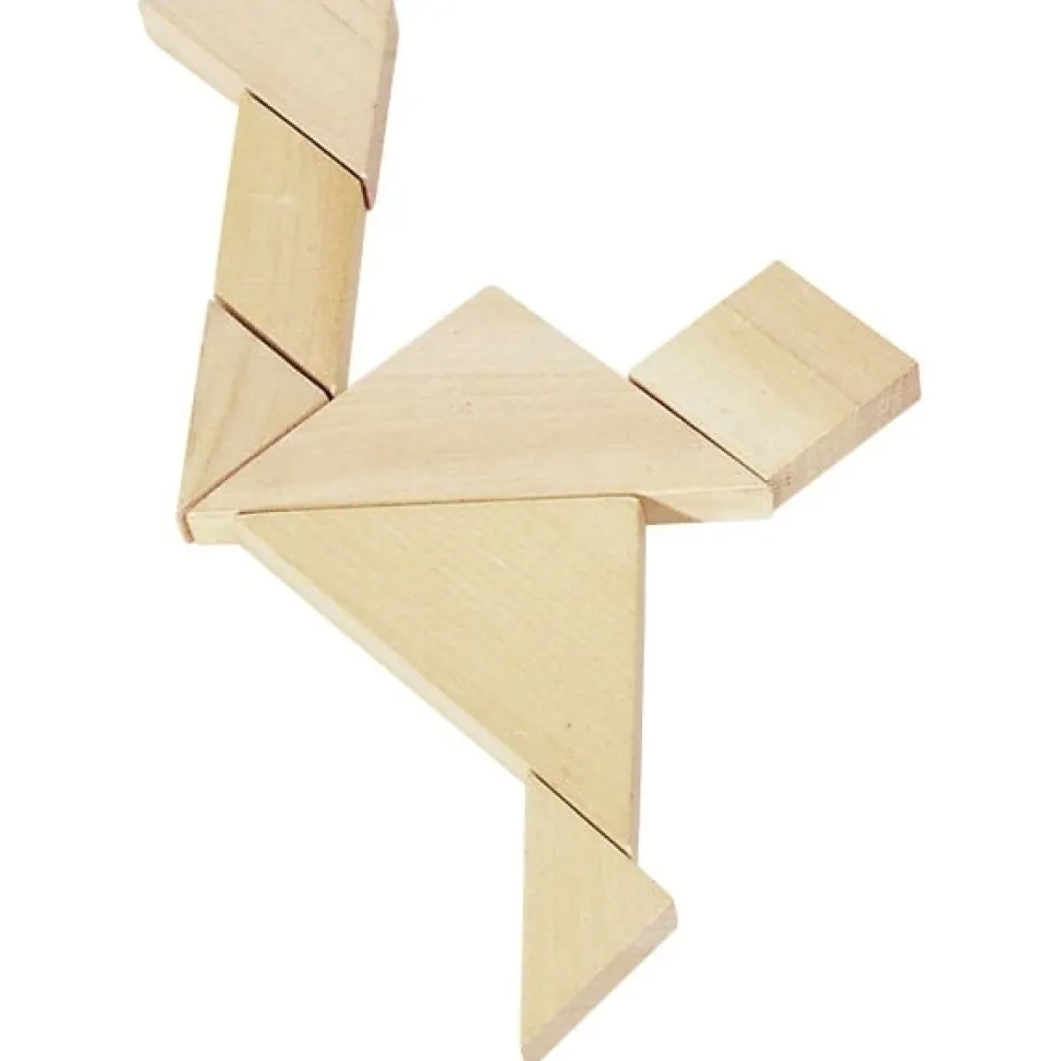 Goki Puzzel Hersenbrekers