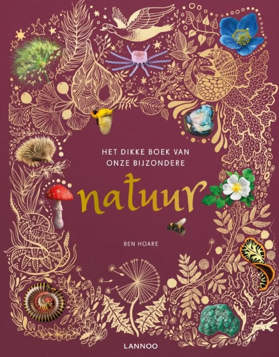 Het dikke boek van onze bijzondere natuur