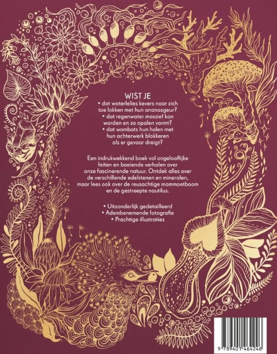 Het dikke boek van onze bijzondere natuur