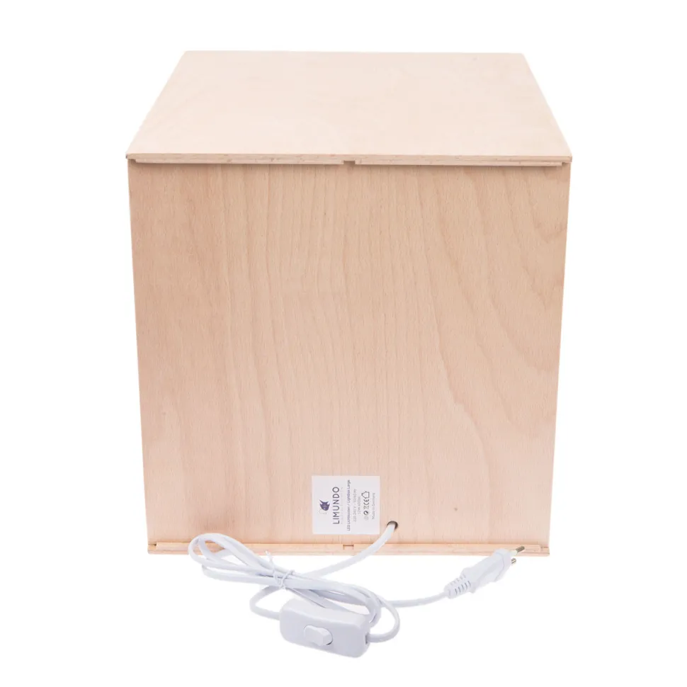 Limundo Kubuslamp Joy Beuken Hout