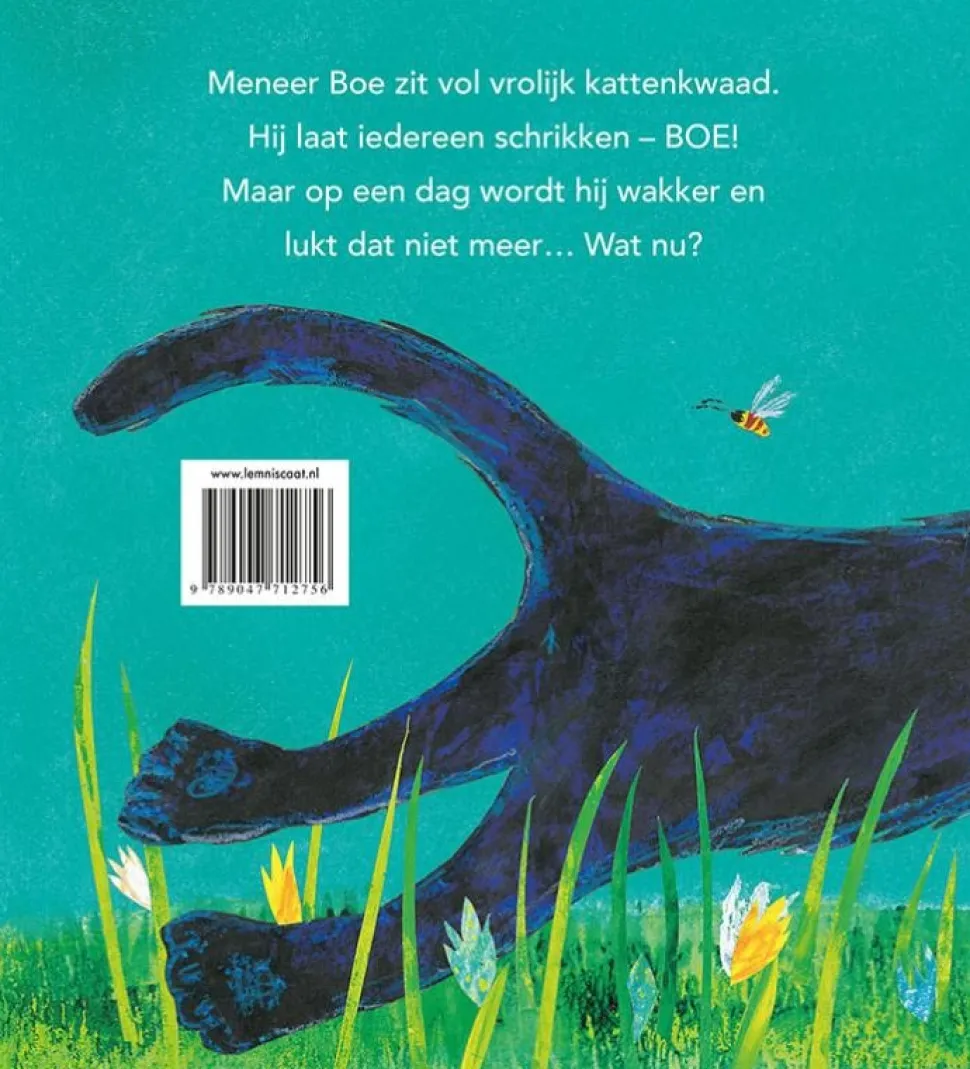 Meneer Boe!