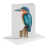 MiesToGo Wenskaart IJsvogel