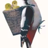 Sticky Tales Muursticker Specht