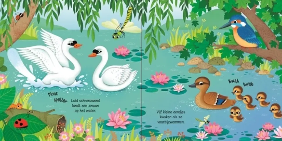 Vogels geluidenboekje