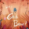 Waar is Grote Broer?