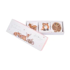 Wrendale Designs Little Forest Baby Socks Set - 6-12 Months